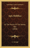 Apis Mellifica