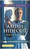 Amish Hideout