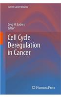 Cell Cycle Deregulation in Cancer