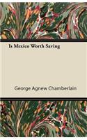 Is Mexico Worth Saving