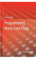Programming Many-Core Chips