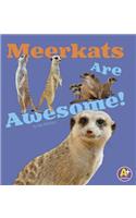 Meerkats Are Awesome!