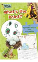 What's the Point? Grade 1 Big Book