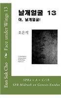 Face Under Wings 13