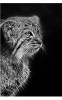 Pensive Pallas Cat Portrait in Black and White Wildcat Photography Journal