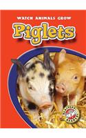 Piglets