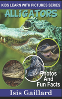 Alligators