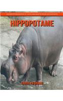 Hippopotame