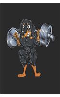 Funny Animal Fitness - Dachshund Squat