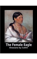 The Female Eagle Shawano by Catlin: 8.5x11. 120 page. Wide Rule. Beautiful Native American Indian Woman Portrait Cover journal composition book (Notebook School Office Supplies) Famous