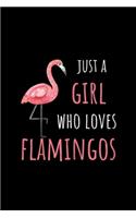 Just A Girl Who Loves Flamingos