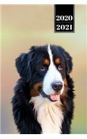 Bernese Mountain Dog Calendar Week Planner 2020 / 2021 - Shiny Sunset: Pup Puppy Doggie Pet Owner Weekly Bullet Journal Notebook Diary in 6" x 9" Inch Pocket Size
