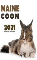 Maine Coon 2021 Mini Cat Calendar