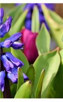 Hyacinth Notebook