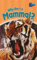 Why am I a Mammal?