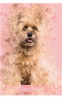 Cairn Terrier: Pink Notebook or Journal with Lines - Cairn Terrier