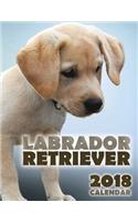 Labrador Retriever 2018 Calendar