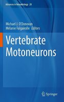 Vertebrate Motoneurons