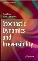 Stochastic Dynamics and Irreversibility