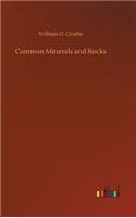 Common Minerals and Rocks