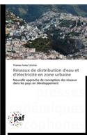 Réseaux de Distribution d'Eau Et d'Électricité En Zone Urbaine