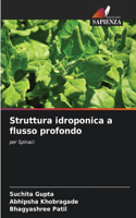 Struttura idroponica a flusso profondo