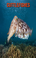 Cuttlefishes: Amazing Facts & Pictures