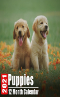 Calendar 2021 Puppies