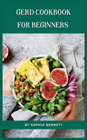 GERD Cookbook for Beginners