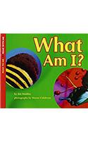 Harcourt School Publishers Collections: Rdr: What Am I Grk