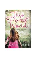 This Perfect World