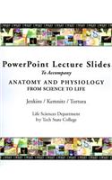 PowerPoint Lecture Slides to Accompany Anatomy and Physiology