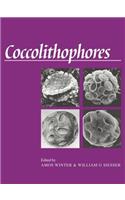 Coccolithophores