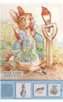 The Peter Rabbit Sound Book