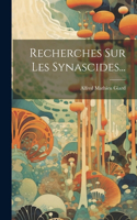 Recherches Sur Les Synascides...