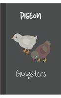 Pigeon Gangsters