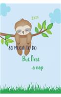 So Much to do But First a Nap