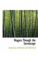 Niagara Through the Stereoscope