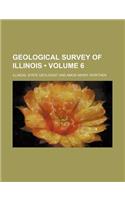 Geological Survey of Illinois (Volume 6)