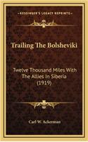 Trailing the Bolsheviki: Twelve Thousand Miles with the Allies in Siberia (1919)