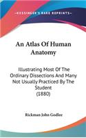 An Atlas Of Human Anatomy
