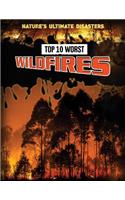 Top 10 Worst Wildfires