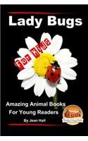 Lady Bugs - For Kids - Amazing Animal Books for Young Readers