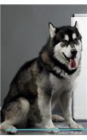 Alaskan Malamute Affirmations Workbook Alaskan Malamute Presents: Positive and Loving Affirmations Workbook. Includes: Mentoring Questions, Guidance, Supporting You.