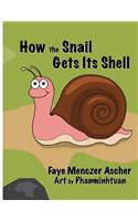 How the Snail Gets Its Shell