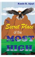 Secret Place of the Most High: An intriguing Expository Novel on Psalm 91