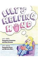Lily's Helping Hand - Hindi