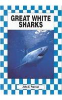Great White Sharks