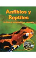 Anfibios Y Reptiles: Un Libro de Comparación Y Contraste (Amphibians and Reptiles: A Compare and Contrast Book): Un libro de comparacion y contraste /A Book of Comparison and Contrast