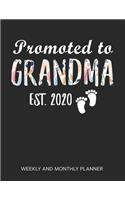 Promoted To Grandma 2020 Weekly And Monthly Planner